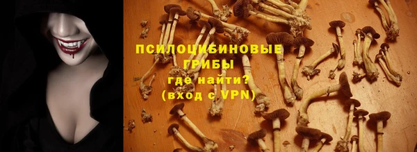 гашик Снежногорск