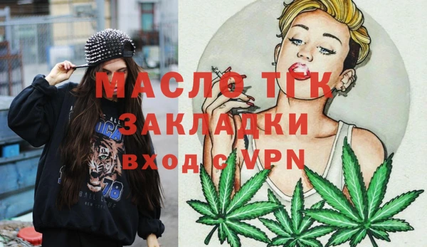 гашик Снежногорск