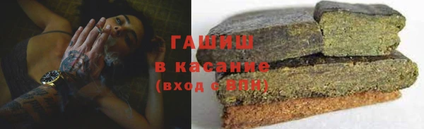 гашик Снежногорск