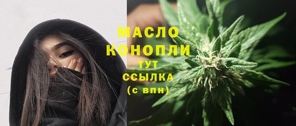 гашик Снежногорск
